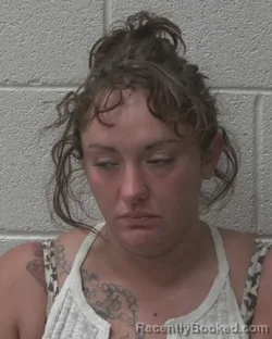 Mugshot of CHRISTINA GONZALEZ booked in Alexander County, North Carolina on July 5, 2026