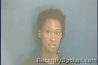 Mugshot of JERICA NICOLE WILLOUGHBY booked in Anson County, North Carolina on April 2, 2026