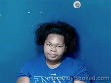 Mugshot of Jahmeeka Jamella Fountaine booked in Anson County, North Carolina on August 23, 2026