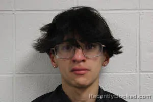 Mugshot of JAYSON D DELEON booked in Avery County, North Carolina on July 14, 2026