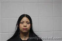Mugshot of DULCE VIANEY GONZALEZ