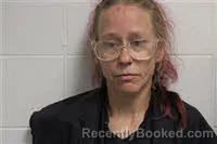 Mugshot of DANA HENSON MORGAN booked in Avery County, North Carolina on July 26, 2026
