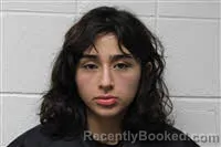 Mugshot of Karen Nunez Castaneda booked in Avery County, North Carolina on October 18, 2026