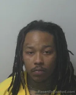 Mugshot of OLAMIDE DEVINE WILSON