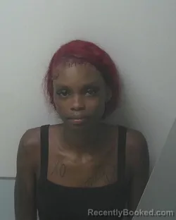 Mugshot of JAMIYA DIXON booked in Beaufort County, North Carolina on July 1, 2026