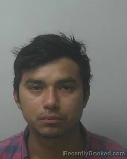 Mugshot of ELVIS MADRIGAL