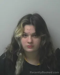 Mugshot of LEILANA MARIE SANSEVERO