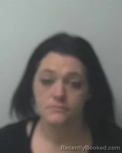 Mugshot of CAMI LYNN TERRY