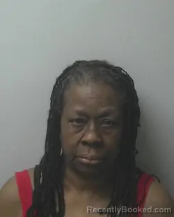 Mugshot of Phyllis Perry booked in Beaufort County, North Carolina on August 24, 2026