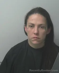 Mugshot of ALISA JO LEE