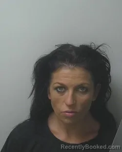 Mugshot of MEGAN ANN TAYLOR booked in Beaufort County, North Carolina on May 24, 2026