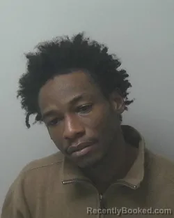 Mugshot of ARMANI DEMETRIC NEWKIRK