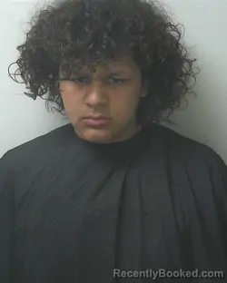 Mugshot of BRANDON NICOLAS TIMPLETON