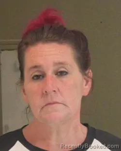 Mugshot of ALISHA J MCLAUGHLIN