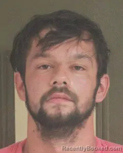 Mugshot of NOAH A GODINES BURT