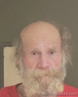 Mugshot of ROBERT W BRIGGS