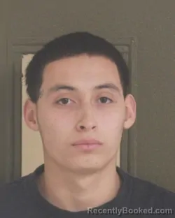 Mugshot of LUIS R MALDONADO