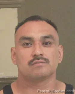 Mugshot of GABRIEL M CASTREJON