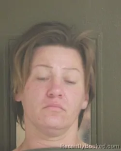 Mugshot of AMANDA J LANKINS