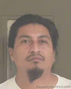 Mugshot of LEONARDO D SERVIN