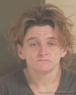 Mugshot of BRENDA K DIMITRIADIS