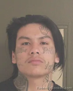 Mugshot of SEBASTIEN M ZOLANI