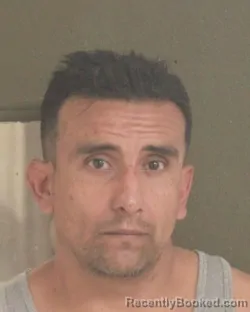 Mugshot of DAVID N MORENO