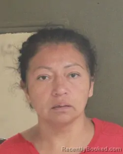 Mugshot of NOEMI D RAMIREZ booked in Tehama County, California on March 12, 2026