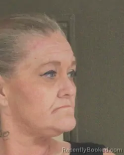 Mugshot of DENISE V OTERO