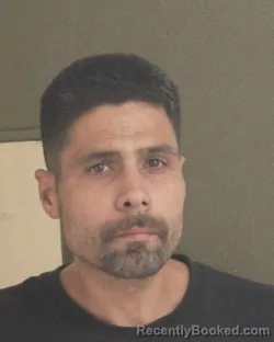 Booking photo from Tehama County, California