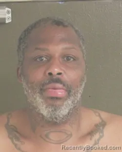 Mugshot of AVERILLE L WILLIS booked in Tehama County, California on March 18, 2026