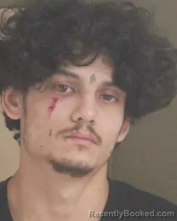 Mugshot of PEDRO ALVARADO booked in Tehama County, California on March 25, 2026