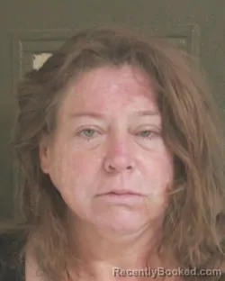 Mugshot of SABRINA S JOHNSON booked in Tehama County, California on March 28, 2026