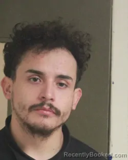 Mugshot of LEONARDO D GARFIA booked in Tehama County, California on April 2, 2026