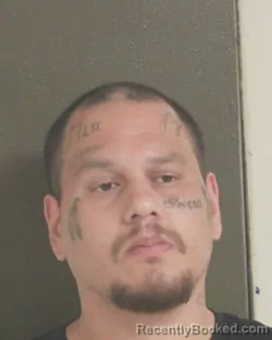 Mugshot of PAULINO N ROMAN booked in Tehama County, California on April 7, 2026