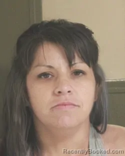 Mugshot of CHELSEA M GOODWIN booked in Tehama County, California on April 24, 2026