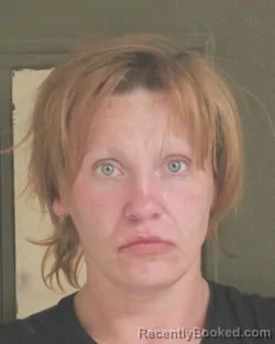 Mugshot of AMANDA J LANKINS booked in Tehama County, California on April 25, 2026