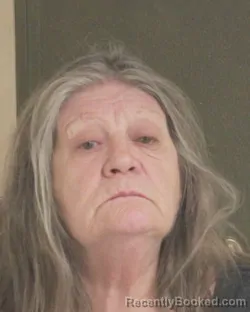 Mugshot of VALERIE L WYANT booked in Tehama County, California on April 28, 2026