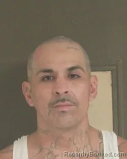Mugshot of RAMON N RUELAS booked in Tehama County, California on May 9, 2026