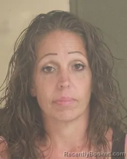 Mugshot of Christine N Welker