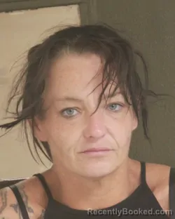 Mugshot of Sarah N Almanza booked in Tehama County, California on September 3, 2026