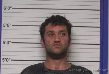 Mugshot of DONALD WILLIAM DAVIS booked in Bladen County, North Carolina on April 9, 2026