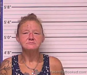 Mugshot of April Renee Gray booked in Bladen County, North Carolina on August 7, 2026