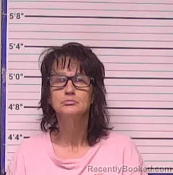 Mugshot of Penny Luann Sahli booked in Bladen County, North Carolina on June 26, 2026