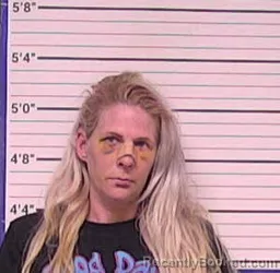 Mugshot of TIFFANY LYNN SHAW booked in Bladen County, North Carolina on July 2, 2026