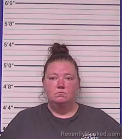Mugshot of MELISSA DAWN TODD
