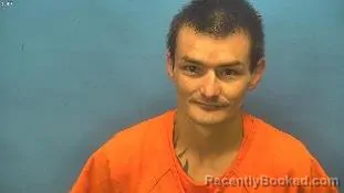 Mugshot of Allan Henry Vanness