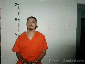 Mugshot of ALIZAH STARKS