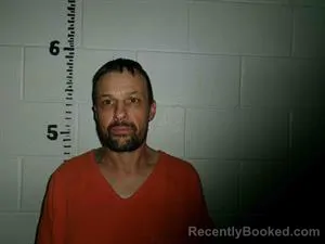 Mugshot of DAVID BROWN