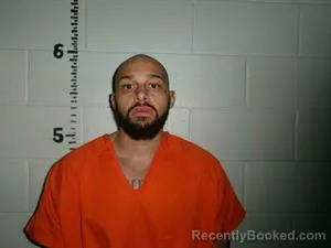 Mugshot of MARKAL REICH